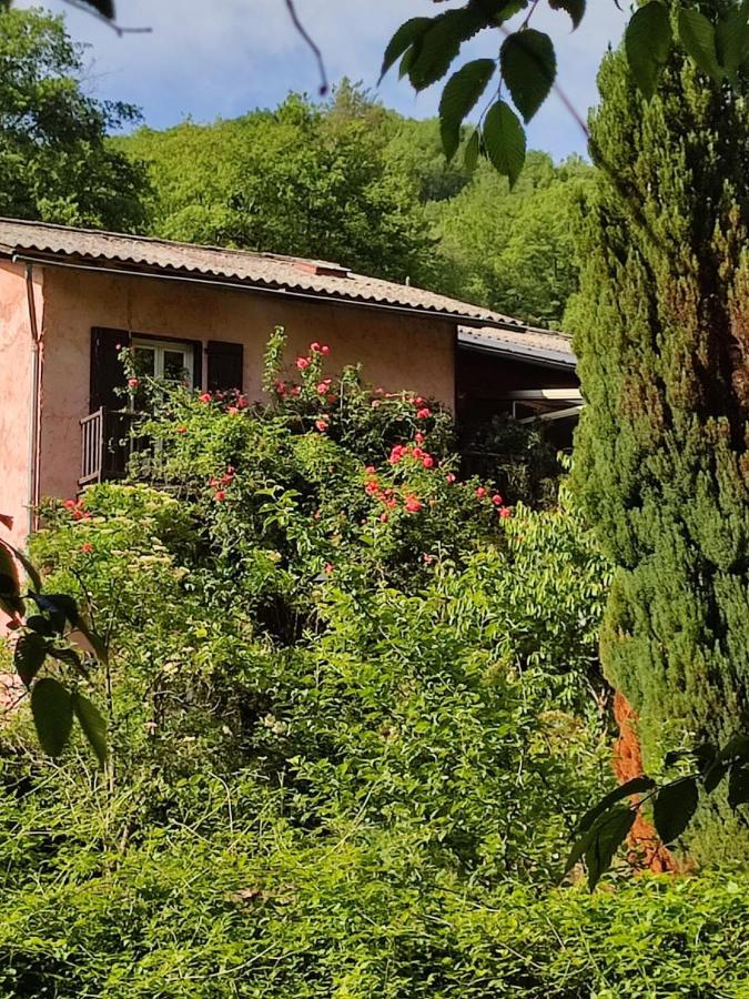 Moulin Vieux Bed and Breakfast La Bollène-Vésubie Buitenkant foto
